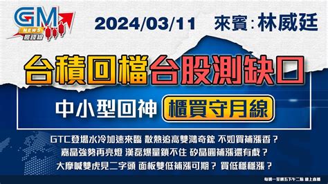 【gm News 最錢線】20240311 台積回檔台股測缺口 中小型回神櫃買守月線｜林威廷｜gmoneytv Youtube