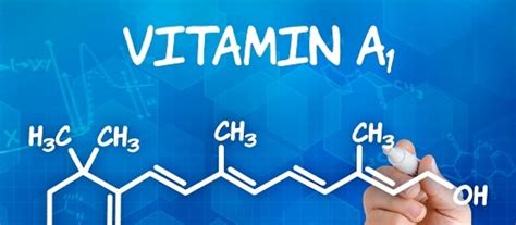 Afepadi Complementos Alimenticios Francia Actualiza El Nivel M Ximo