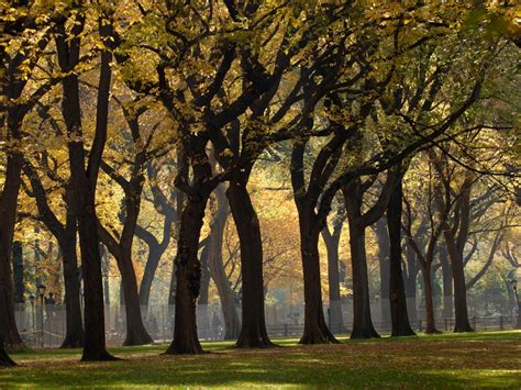 central park   york  national geographics ultimate city