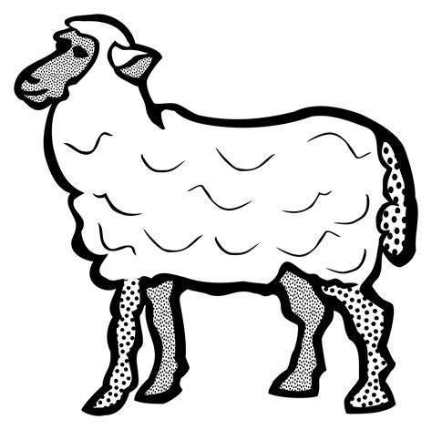 Sheep Outline Drawing At Explore Collection Of