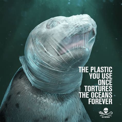 Sea Shepherd Urges Plastic Awareness 03 08 2019