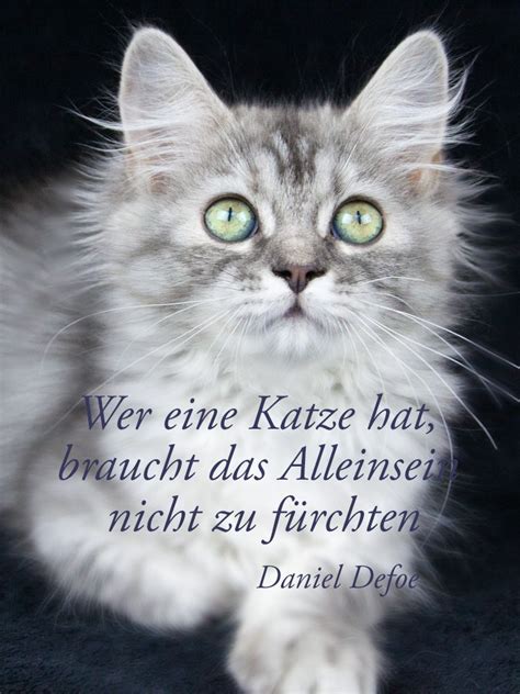 F R Alle Einsamen Herzen Spr Che Katze Katzen Zitate Katzen Lustige