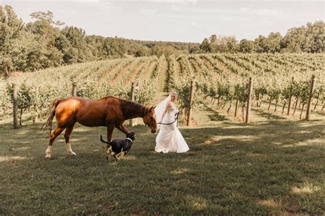 Vineyard wedding anyone? Here are a few that you should know about…