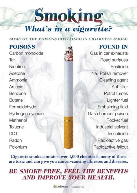 What Diseases Can You Get From Smoking Cigarettes at Willie Nava blog