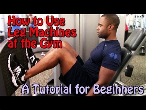 How to Use Leg Machines at the Gym (A Tutorial for Beginners ...