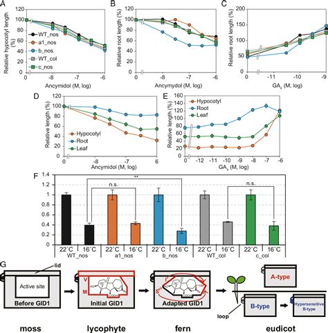 Figure 1 From Evolution And Diversification Of The Plant Gibberellin