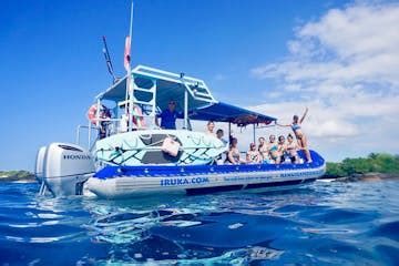 Dolphin Speedboat Adventure Tour in Waikiki, Honolulu, Oahu, Hawaii