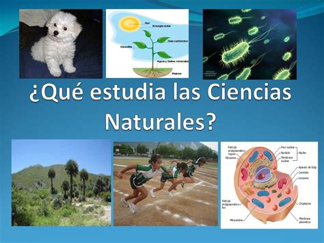 Ejemplos De Lo Que Se Estudia En Las Ciencias Naturales CUESTIONSOCIAL