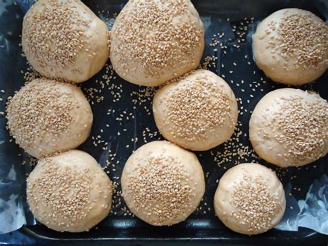 Whole Wheat Bread Rolls