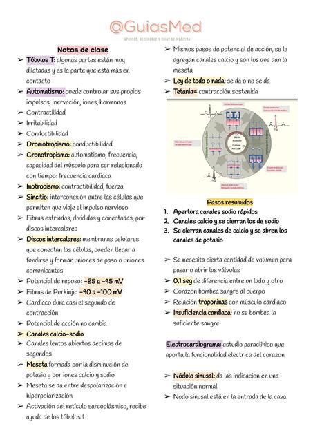 Notas clase fisiología medica GuiasMed uDocz