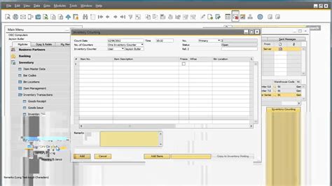 Inventory Counting In SAP Business One 9 0 YouTube