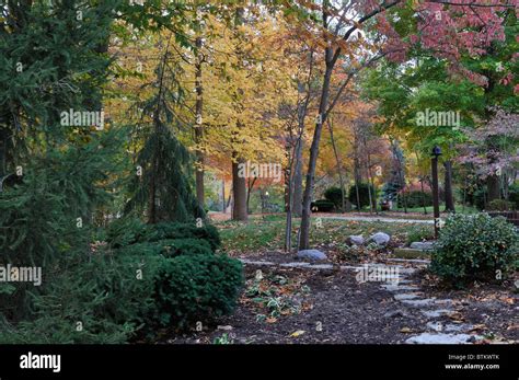 Fall Scene Fall Colors Rural Setting Cloudy Day Residential Garden