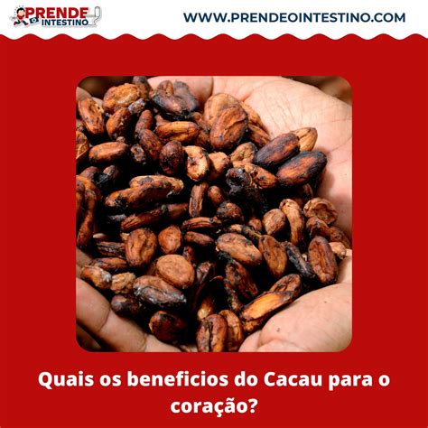 Quais Os Beneficios Do Cacau Para O Cora O