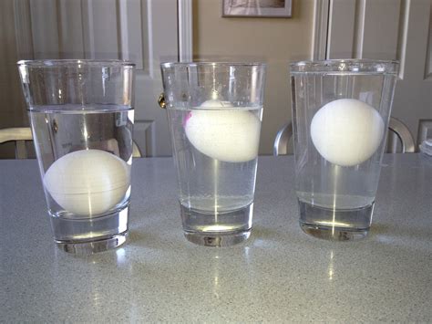 Floating Egg In Salt Water Science Project