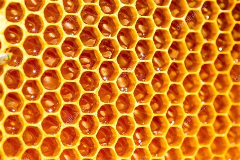 Bee Honey In Honeycomb Stock Photo Kotomiti 52774035