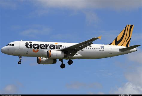 Tigerair Australia Airbus A320 VH VNK Photo 316 Airfleets Aviation