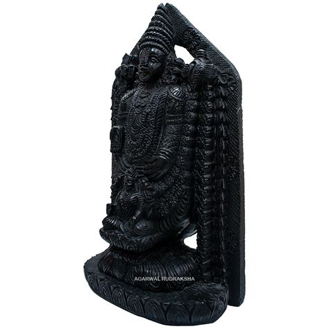 Black Lord Tirupati Balaji Venkateshwara Vii Carved On Shaligram