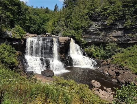 8 BEAUTIFUL Hiking Trails in Blackwater Falls State Park, WV – Wild