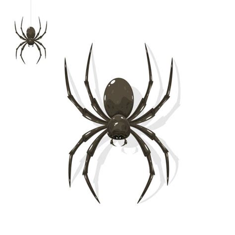 Arachnophobia Illustrations, Royalty-Free Vector Graphics & Clip Art ...