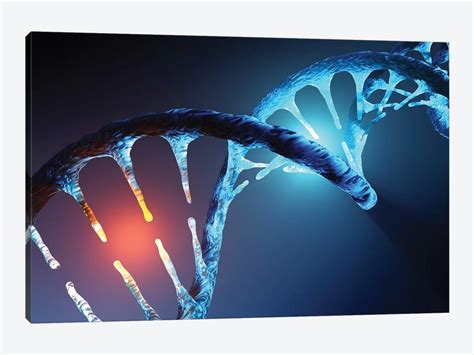 DNA Strand Art Print by Johan Swanepoel | iCanvas