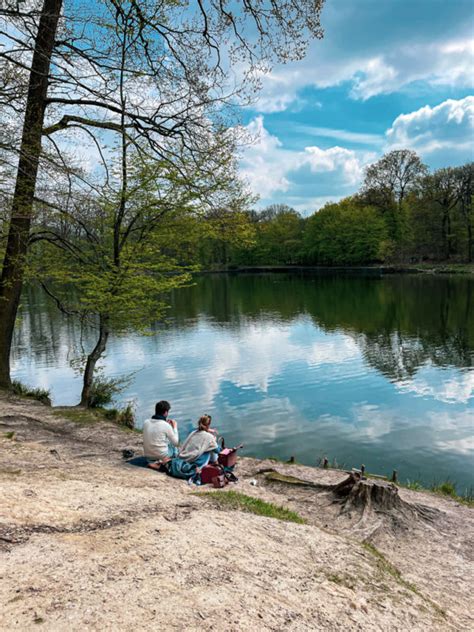 Promenade Dans La For T De Meudon Et De Ses Tangs