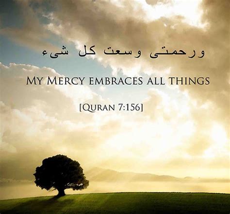 Quran Quotes. QuotesGram