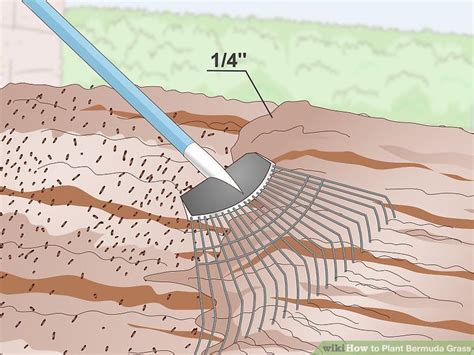 3 Ways to Plant Bermuda Grass - wikiHow