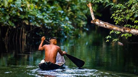 This Island In The Amazon River Is A Unique Destination For Adventurous ...