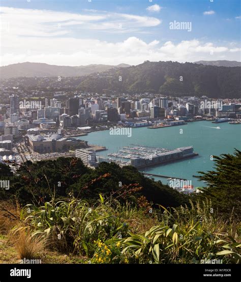 Mount Victoria Lookout Hi Res Stock Photography And Images Alamy