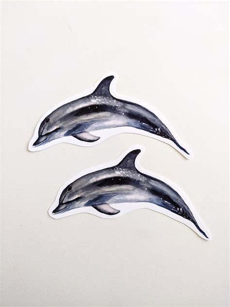 Dolphin Stickers Watercolor Vinyl Dolphin Stickers for Water | Etsy