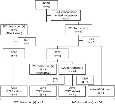 survival  bilateral bidirectional glenn
