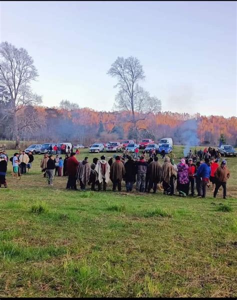 Naci N Mapuche Lof Herrera Antifilu Territorio Williche Reafirmaci N