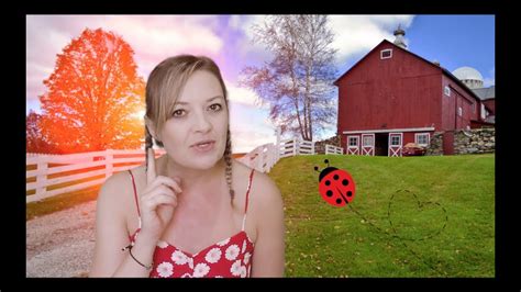 What The Ladybird Heard Auntie Hayley S Storytime YouTube