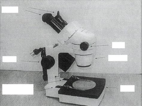 Dissecting Microscope Diagram | Quizlet