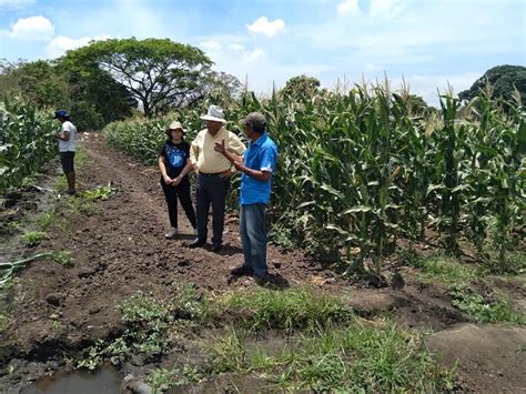 Apoyar A Pequeños Productores La Clave Para La Seguridad Alimentaria