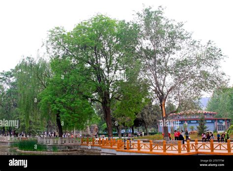 park scenery closeup  photo stock photo alamy