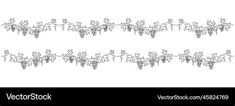 Grape Vine Border Design Element Bunch Of Grapes Vector Image