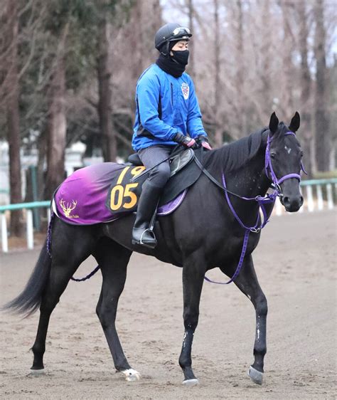 【チューリップ賞】エフフォーリアの半妹ペリファーニアは手応え上々 横山武史騎手「いい動き」 Umatoku 馬トク