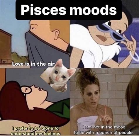 52 Best Pisces Memes That Describe This Zodiac Sign Artofit