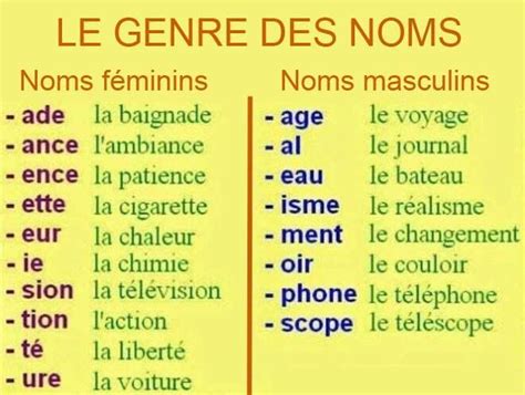 French Grammar The Gender Of Nouns Learn French French Language Lessons French Words