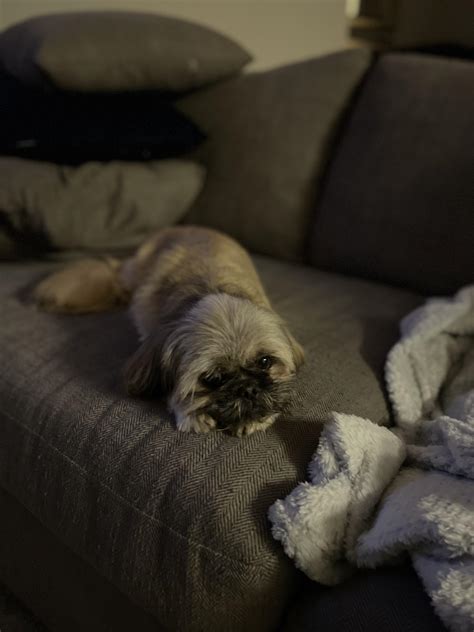 My little people are in bed so I’m pooped… | Scrolller