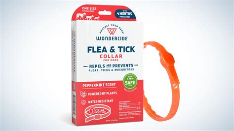 The 6 Best Tick Collars for Dogs of 2024 | Field & Stream