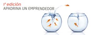 Apadrina un emprendedor El Rincón del Emprendedor