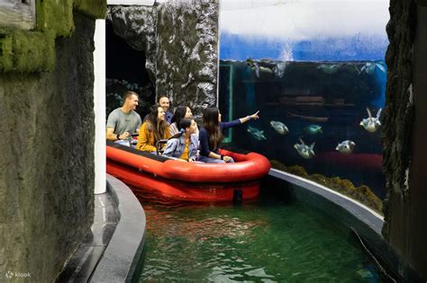 SEA LIFE Sydney Aquarium Ticket - Klook