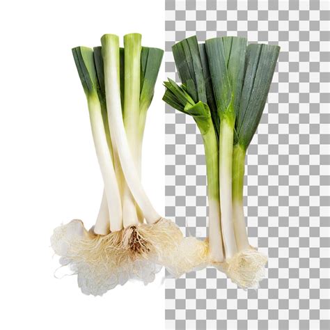 premium psd green  white leek  roots isolated transparent