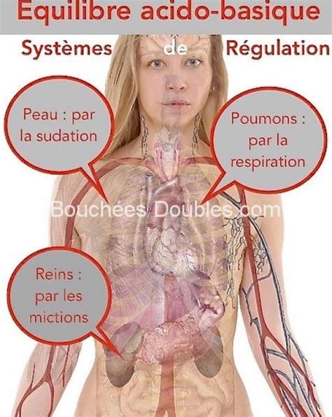 Pourquoi Et Comment Drainer Et D Toxifier Son Organisme Des Solutions