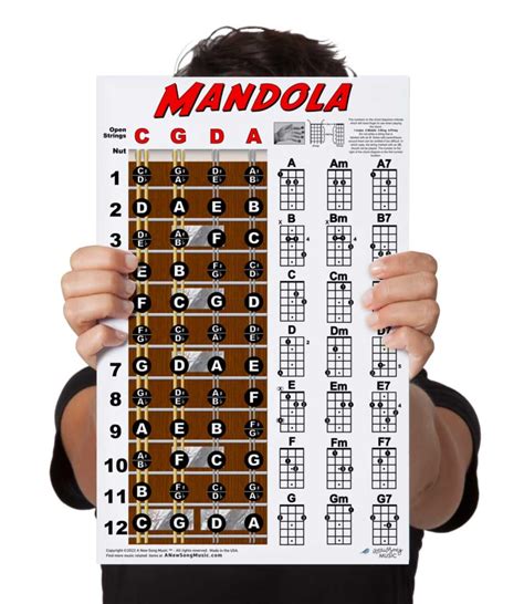 Buy A New Song Music Laminated Mandola Fretboard Notes And Chord Chart