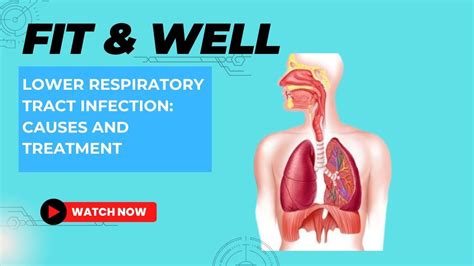 Lower Respiratory Tract Infection Causes And Treatment Youtube