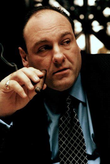 Characters In The Sopranos Tony Soprano Tv Tropes