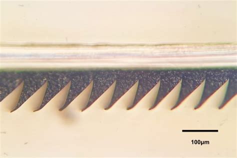 Stanford lab develops world's “stickiest non-sticky” material